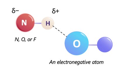 Hydrogen bonding between molecules