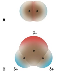 Electron distribution in molecules of H2 and H2O