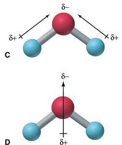 Electron distribution in molecules of H2 and H2O