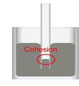 Cohesion in mercury