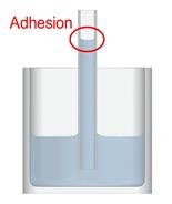 Adhesion in water
