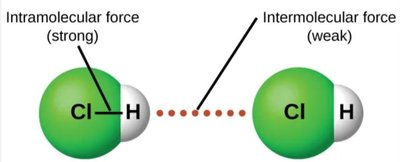 Intramolecular vs intermolecular forces