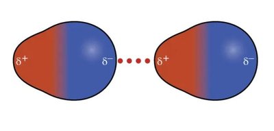 Dipole-dipole interaction between polar molecules