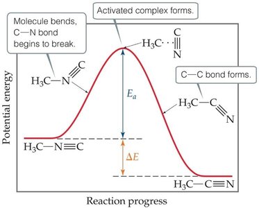 Potential energy diagram showing transition state