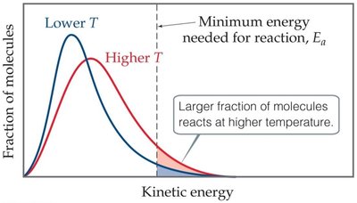 Distribution of molecular energies at different temperatures