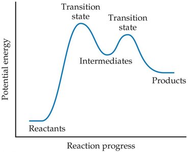 Potential energy diagram showing intermediates and transition states