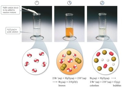 Homogeneous catalysis example