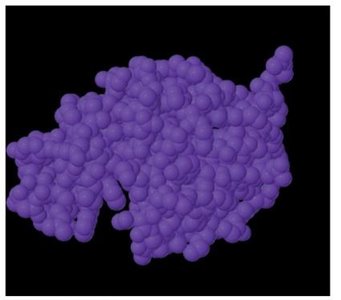 Enzyme with active site highlighted