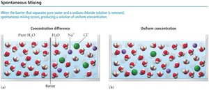 Spontaneous mixing of pure water and sodium chloride solution