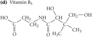 Structure of Vitamin B5 (water-soluble)