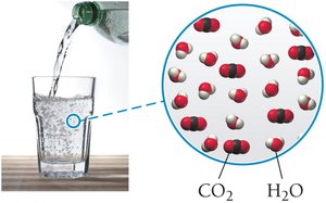 CO2 dissolved in water (club soda)