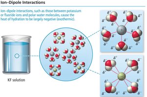 Ion-dipole interactions in hydration