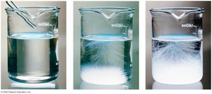Supersaturated solution demonstration