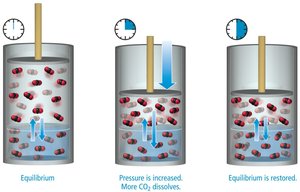 Pressure and equilibrium in gas solubility