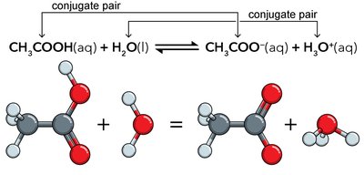 Molecular diagram of acetic acid and acetate buffer equilibrium