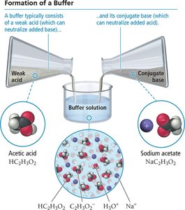 Diagram showing the formation of a buffer from a weak acid and its conjugate base