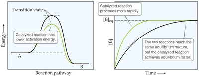 Catalysts