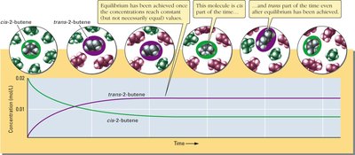 Catalyzed reaction pathway and time to equilibrium