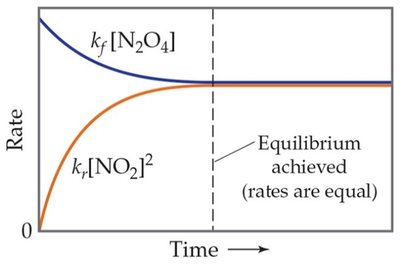 Rate vs. Time graph showing equilibrium achieved