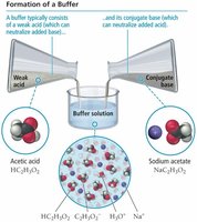 Formation of a buffer solution from acetic acid and sodium acetate