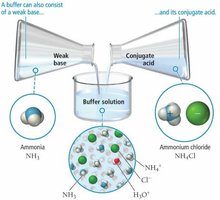 Formation of a buffer solution from ammonia and ammonium chloride