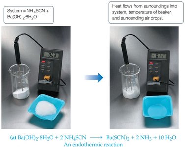Exothermic reaction example