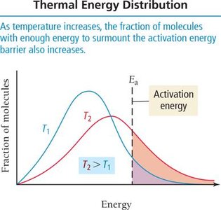 Thermal energy distribution graph
