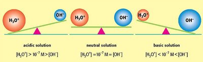 Diagram showing the relationship between hydronium and hydroxide ion concentrations in acidic, neutral, and basic solutions