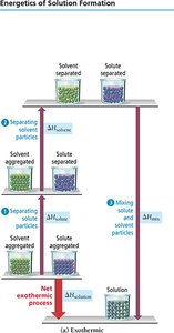 Exothermic solution formation