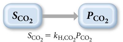 Henry's Law equation