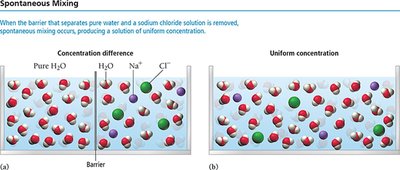 Spontaneous mixing of water and sodium chloride solution