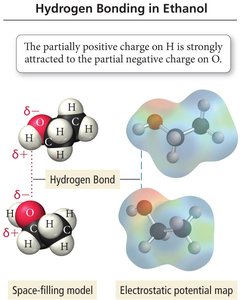 Hydrogen bonding in ethanol