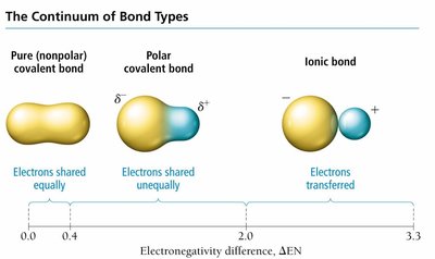 Continuum of bond types: nonpolar, polar, ionic