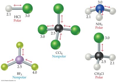 Polarity and dipole moments of various molecules