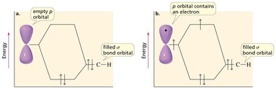 Orbital diagrams for carbocation and radical