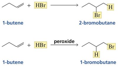 Propagation steps for radical addition