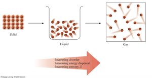 Entropy increases from solid to liquid to gas