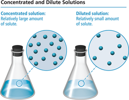 Concentrated and dilute solutions comparison