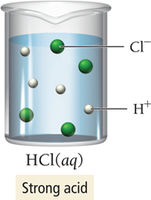 Strong acid (HCl) in solution