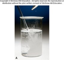 H2O2 decomposition: initial solution
