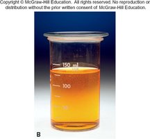H2O2 decomposition: intermediate Br2