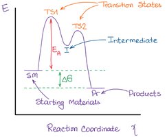 Reaction coordinate diagram: transition state and intermediate
