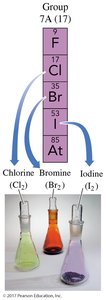 Halogens: chlorine, bromine, iodine