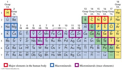 Periodic table showing elements essential to life