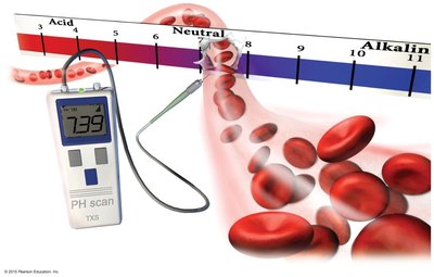 Blood pH measurement and pH scale