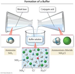 Formation of a buffer from weak base and conjugate acid