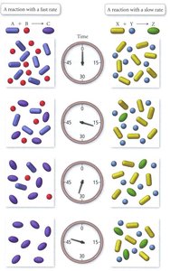 Fast and slow reaction rates illustrated over time