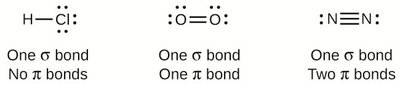 Examples of sigma and pi bonds in HCl, O2, and N2