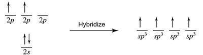 Hybridization of carbon's atomic orbitals