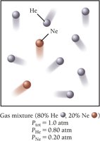 Partial pressures in a gas mixture
